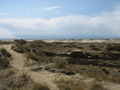 Amrum 37114703