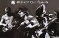 RHCP--Red Hot Chili Peppers 16359542