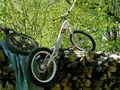 First ride with the kamel 221 37084575