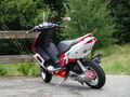 Speedy 41796570