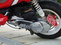 Speedy 42101334