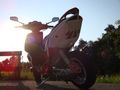 Speedy 42101348