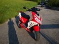 Speedy 42101355