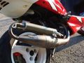 Speedy 42101361