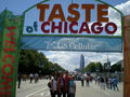 Taste Of Chicago Festival + Skyline 40474188