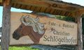 Schlögl 17397950