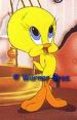 Tweety 17000030