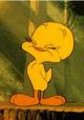 Tweety 17000037