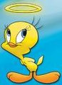 Tweety 17000186