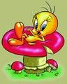 Tweety 17000420