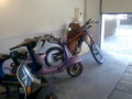 Vespa???    Yea!!!----Tuner 34871224