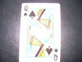 Playing Cards 20241753