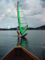 Surfen am Traunsee 39830709