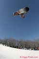 SnowBoardeN 16333208