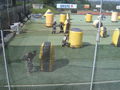 OPBL  PAINTBALL 64756397