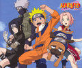 Naruto 16361127