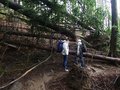 Höhle / Windloch im Damberg 19940786