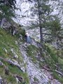 Traunstein 1691m  (Klettersteig) 25375162
