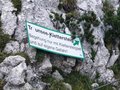 Traunstein 1691m  (Klettersteig) 25375212