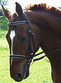 --REITEN-- 16666037