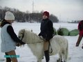 --REITEN-- 16666038