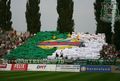 SK Rapid Wien 42479039