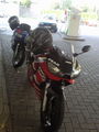 Yamaha R6 67900378