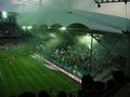 Rapid Wien 17484252