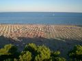 Lignano 2008 43412242