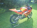 Aprilia RS125 65026685