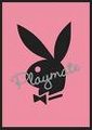 playboy-hasi 17371526