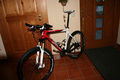 Am Bike 55741560