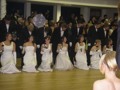 HLA Ball 2007 30919473