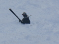 Skifahren Kitzbühel 31269399