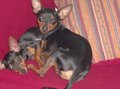 **Unsere Kidi´s** 29418434