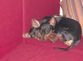 **Unsere Kidi´s** 29418446