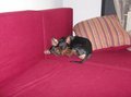 **Unsere Kidi´s** 29418456