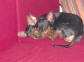 **Unsere Kidi´s** 29418469