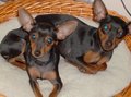 **Unsere Kidi´s** 29418480