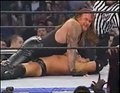 The Undertaker 18879075