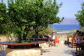 Kreta(Griechenland 2008) 50099415