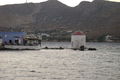 Leros(Griechenland 2008) 51846749