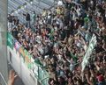 Sk Rapid Wien 36833757