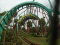 Florida2009 55367314