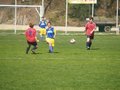 Fußball 18511226