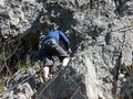 Predigstuhl Klettersteig 44312644