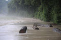 Hochwasser 24.Juni 2009 61853505