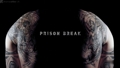 prison break 35063528