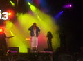 Donauinselfest 2008 44895237