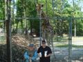 Tierpark Schmiding/Walding 29712801